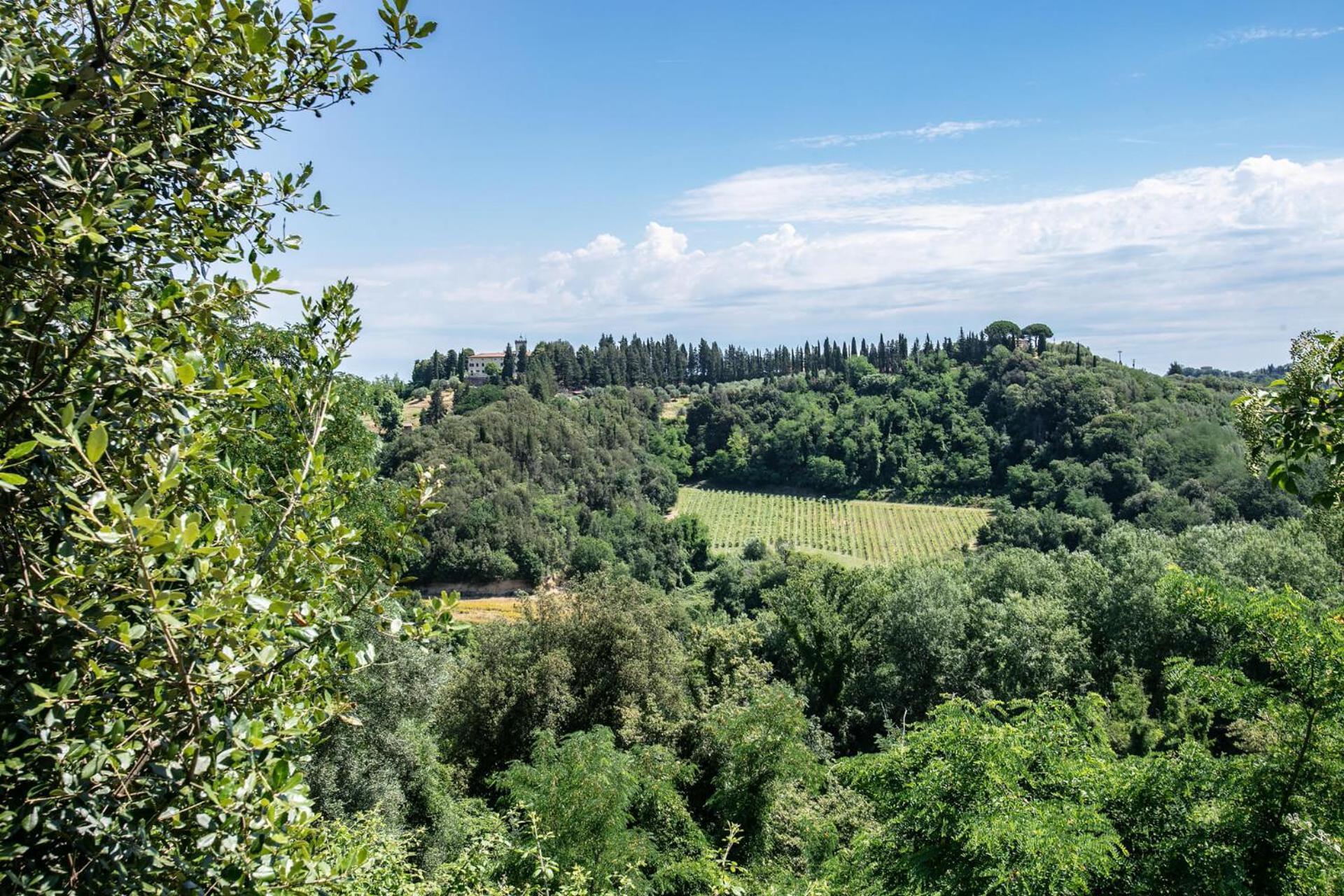 Fattoria Di Colleoli Vendégház Kültér fotó