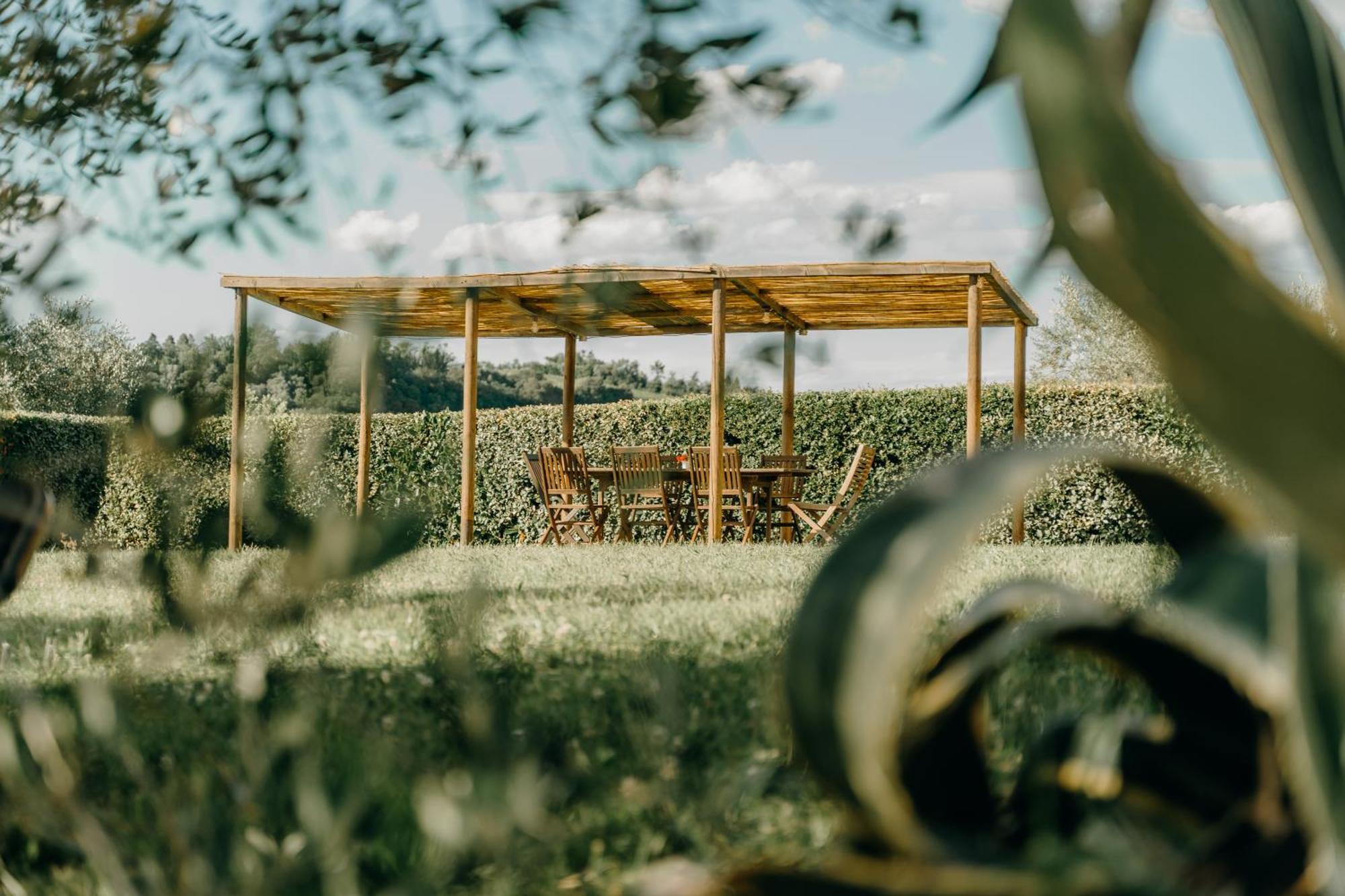 Fattoria Di Colleoli Vendégház Kültér fotó